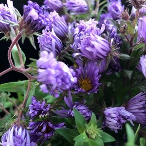 Meet your Posher, Yaroslava